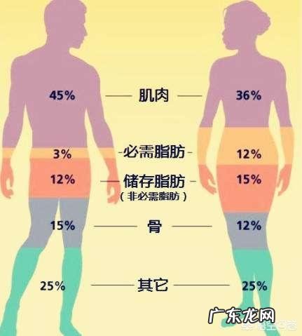 减肥和减脂最大的区别是什么