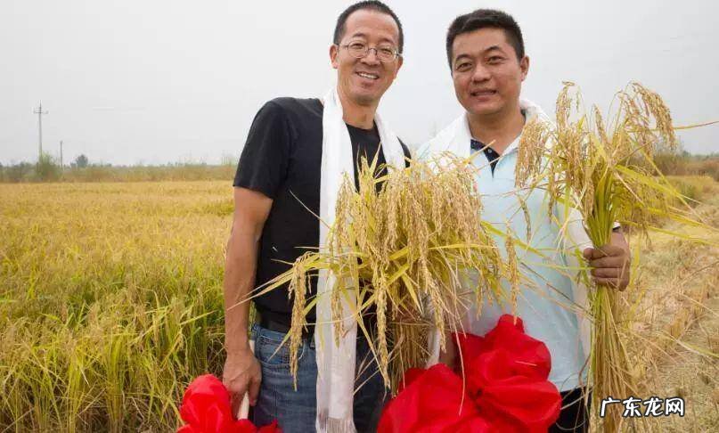 俞敏洪回应卖农产品，俞敏洪真的转型直播助农？