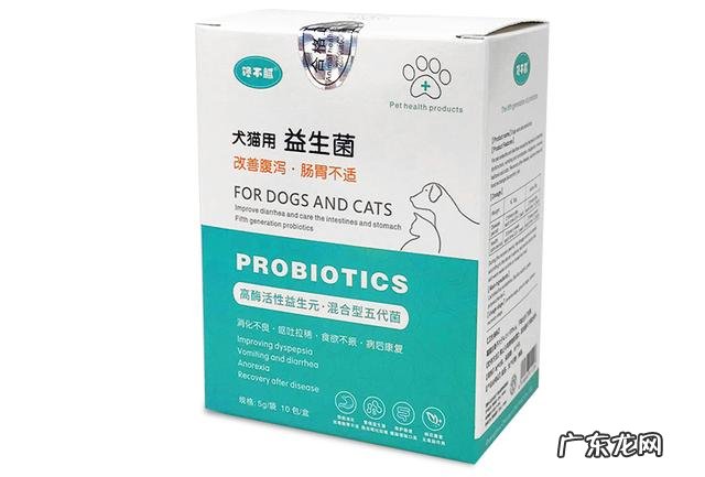 造成狗狗吐“黄白沫”的原因,以及解决方法