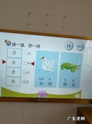 单韵母拼读有哪些 单韵母怎么读