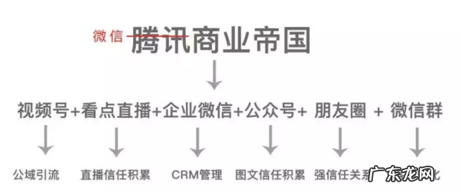 从视频号到社群,公域流量转成私域流量