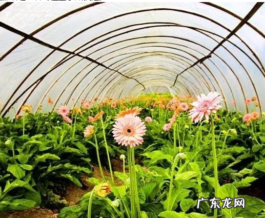 哪些行业适合做电商，7个有前途的电商项目