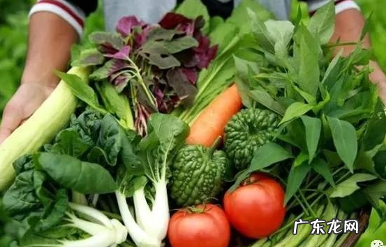 哪些行业适合做电商，7个有前途的电商项目