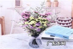 京东试用在哪？申请流程是什么？