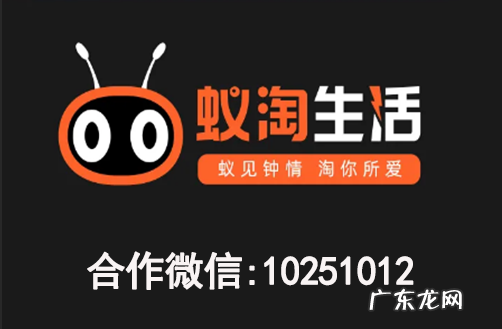 蚁淘生活新手是怎么入手的?蚁淘生活怎么提现?