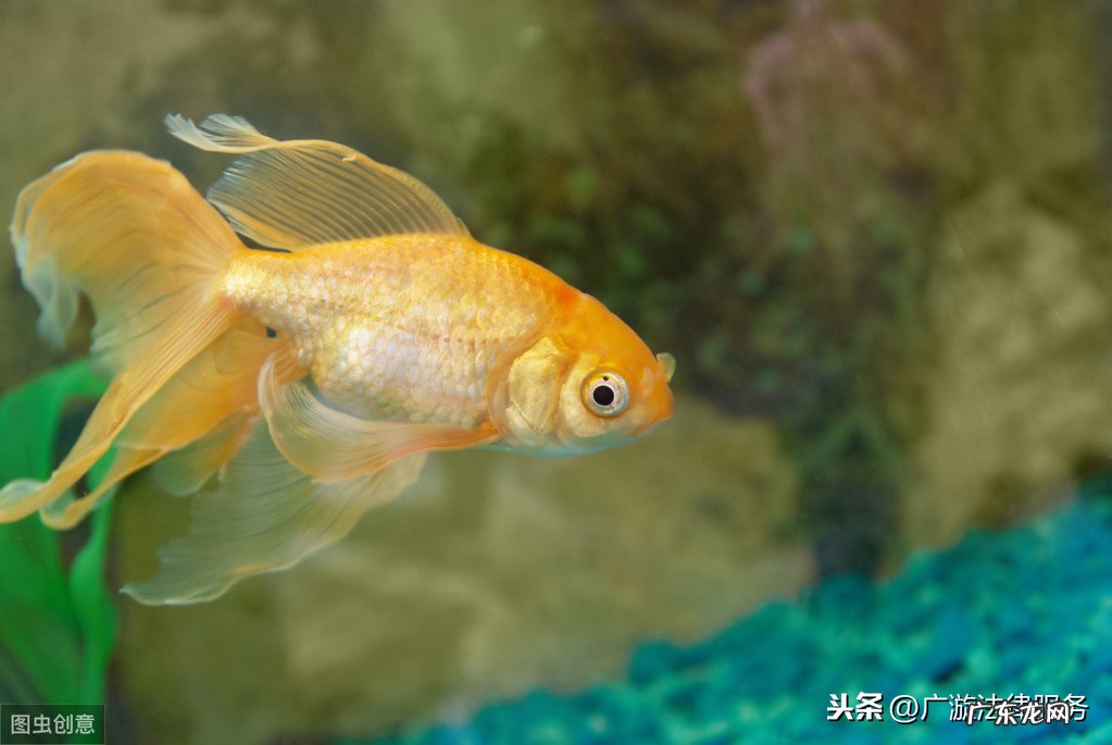 淘宝7天无理由退货商家不退怎么办?规则是什么?