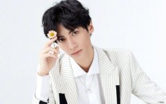 韩国蜂蜜柚子茶减肥吗:蜂蜜柚子茶韩国价格，1号店蜂蜜柚子茶韩国口碑怎么样