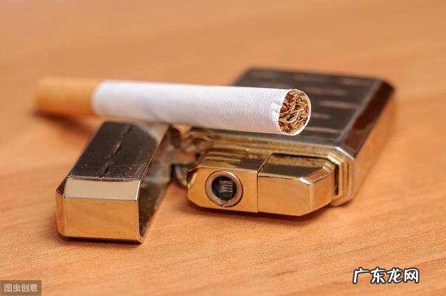 小狗手里虱子随处可见？养动物大神送你八个小秘方，让小狗和虱子说一声再见