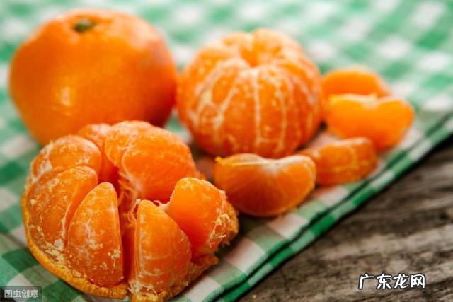 小狗手里虱子随处可见？养动物大神送你八个小秘方，让小狗和虱子说一声再见