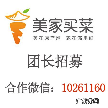 美家买菜团长是什么?美家买菜团长赚钱吗?
