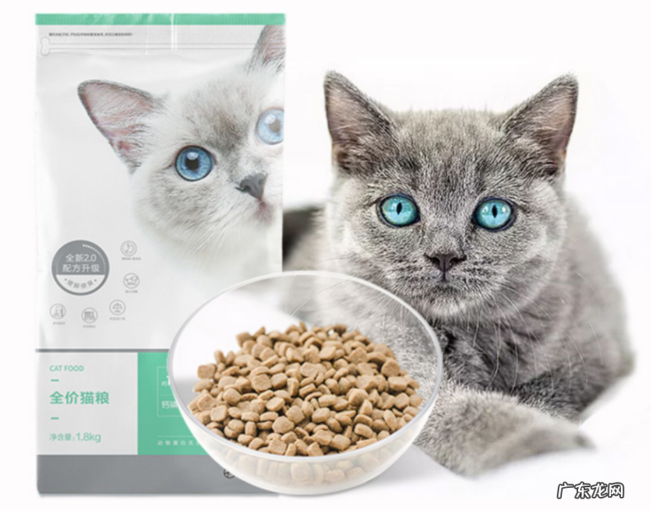 十大国产猫粮推荐 国产猫粮品牌排行榜