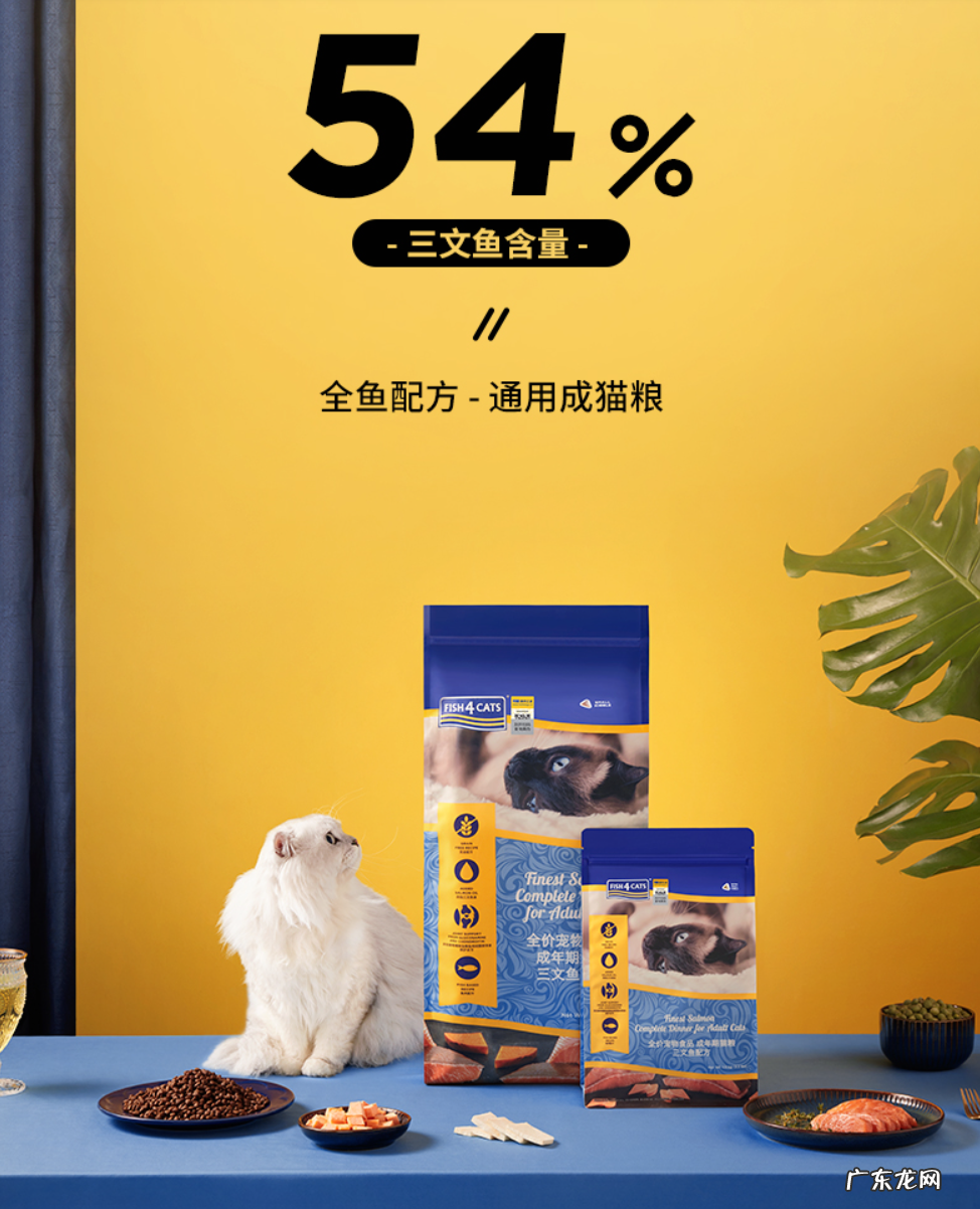 十大国产猫粮推荐 国产猫粮品牌排行榜