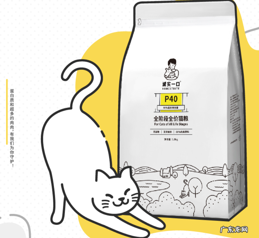 十大国产猫粮推荐 国产猫粮品牌排行榜