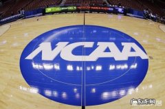 两百多所NCAA大学，哪所才是NBA最大的人才根据地？