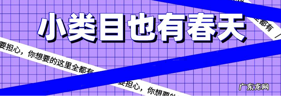 拼多多小类目产品有哪些?教你小类目怎么运营