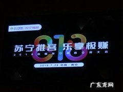 苏宁社交电商推广平台叫什么？