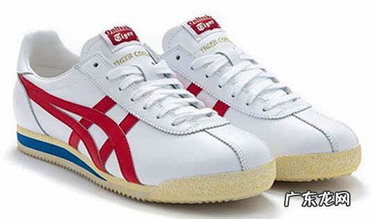 女士运动鞋品牌排行榜,女士运动鞋买什么品牌好