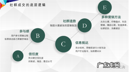 社群运营：如何从 0-1 组建 500 个群并变现 1000W+？