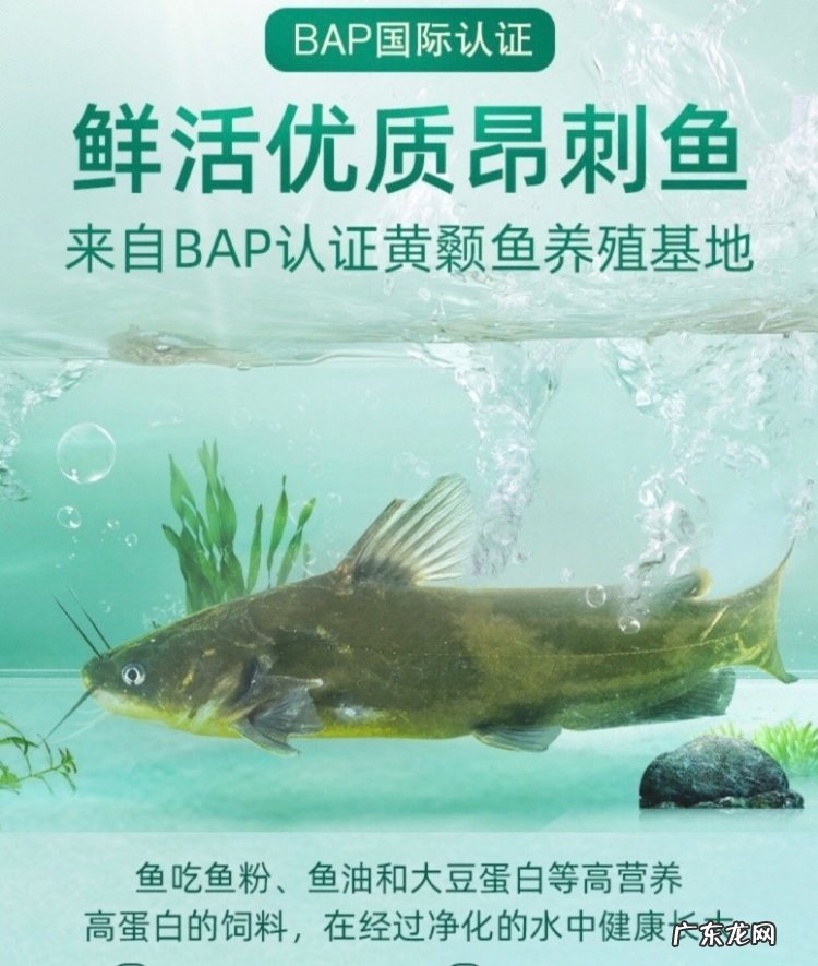 要开学了!叮咚买菜儿童食品销量增长超60%