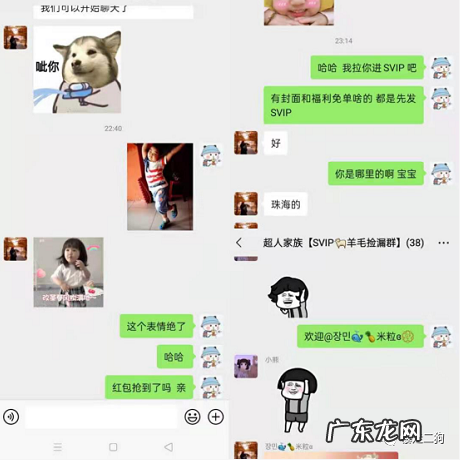 狗哥 一个新手淘宝客从业两个月的独白