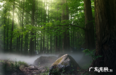 狗哥 一个新手淘宝客从业两个月的独白