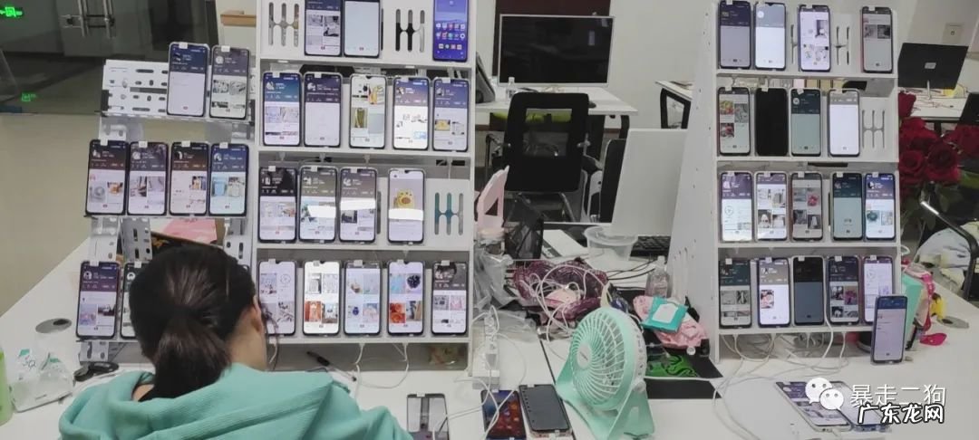 狗哥 通过小红书+社群淘客玩法暴利月入20万的底层玩法逻辑拆解