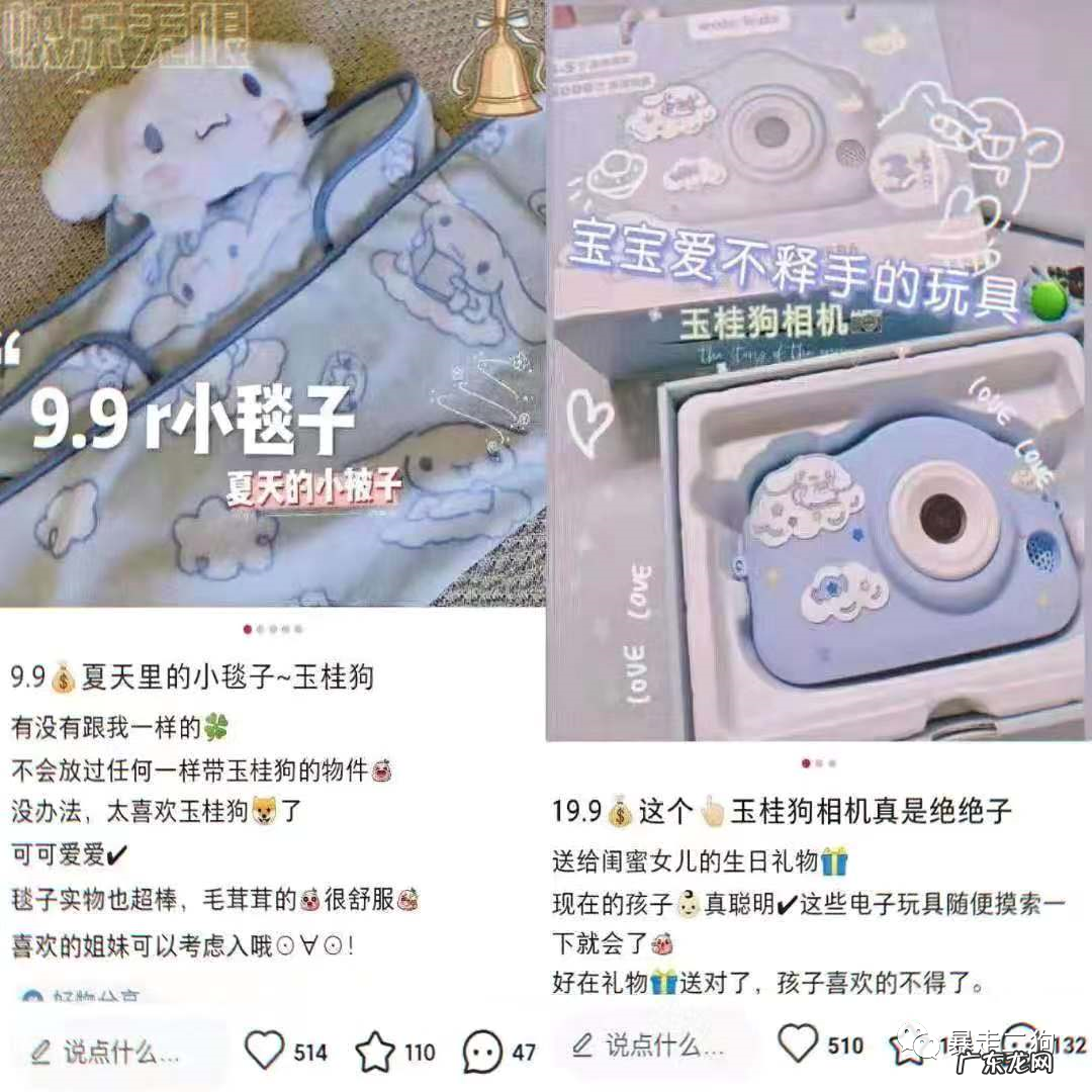 狗哥 通过小红书+社群淘客玩法暴利月入20万的底层玩法逻辑拆解