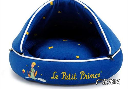 柯基干咳嗽一晚上是感冒发烧沒有