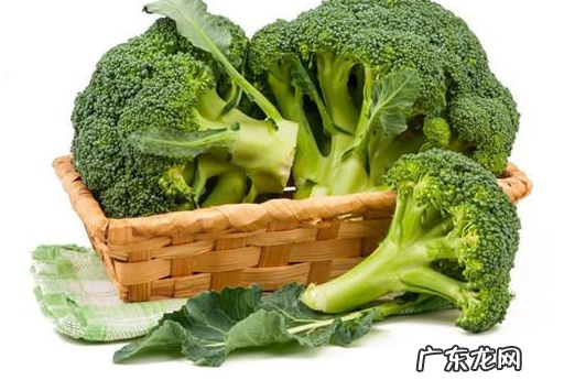 柯基干咳嗽一晚上是感冒发烧沒有