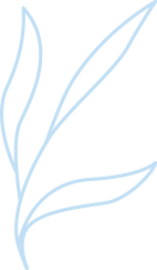 私域流量管理软件 【活码】搭建私域流量工具