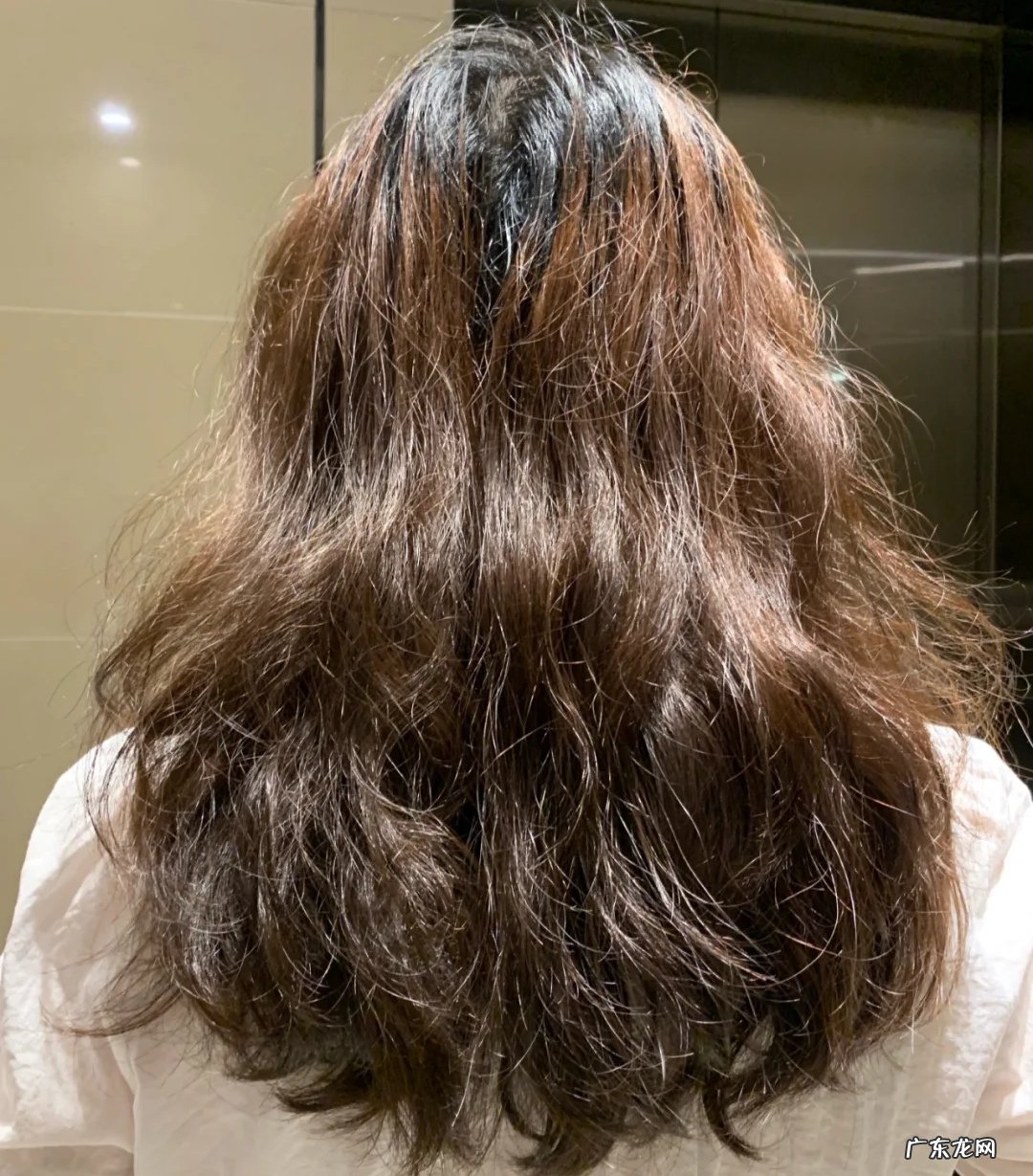 椰子油护发的正确方法,什么样的发质适合用?