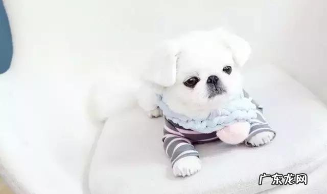 创口出血停不下来应该怎么办