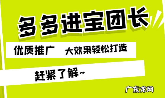多多进宝团长是什么?全方面了解多多进宝团长!