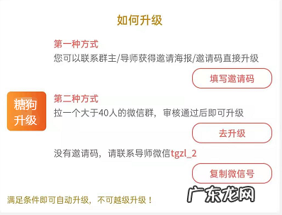 糖狗是什么平台？如何升级合伙人？