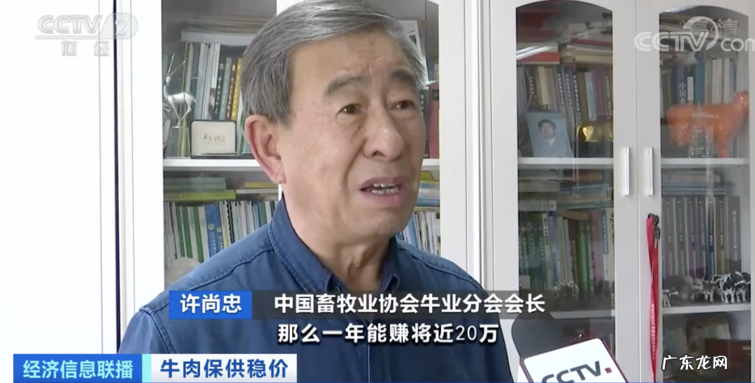 牛肉价格涨,销量也大涨!养牛户的机会来了?