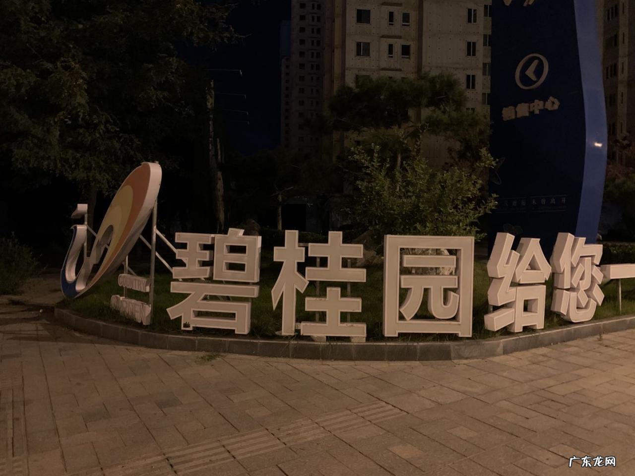 碧桂园拟不超100亿收购富力子公司