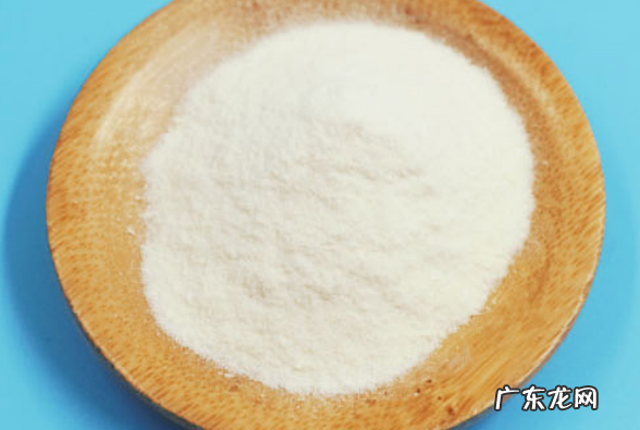 一岁金毛狗狗缺钙的表现