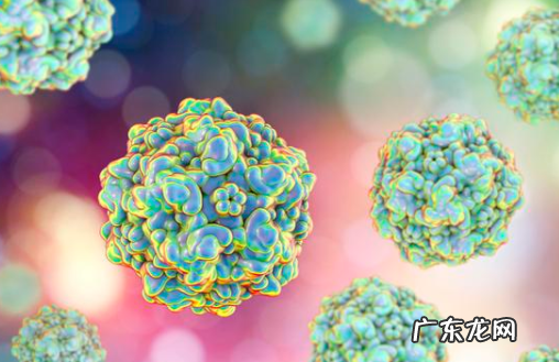 小狗狗为什么会得微小？得细小的症状是什么？