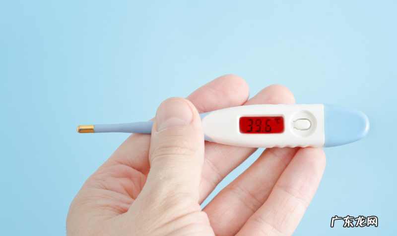 小狗有点感冒可以打微小针吗