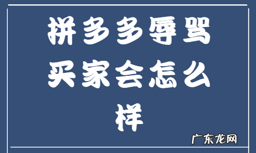 拼多多辱骂买家处罚规则是怎样的?拼多多辱骂顾客规则要求有哪些?