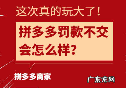 拼多多罚款规则有哪些?拼多多罚款不交会怎么样?