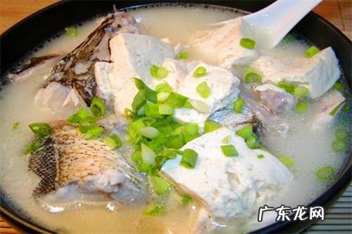 小狗创口一般多久能好