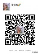 超大福利竹子驿站高佣版震撼来袭，竹子驿站高佣版是什么？