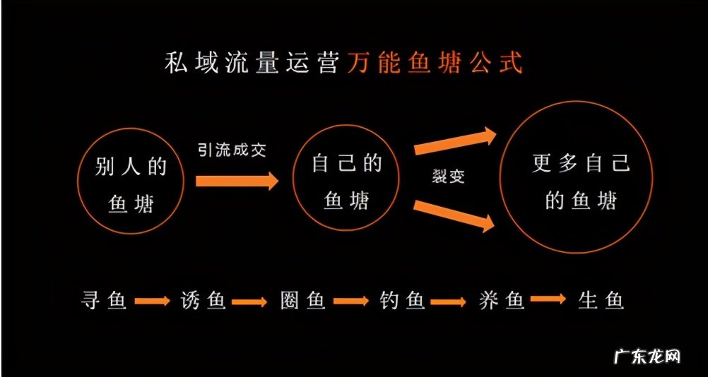 什么是私域流量池?如何打造私域流量池?
