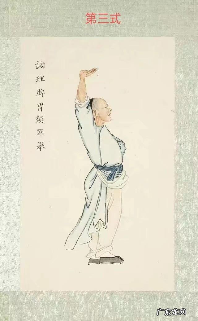 大家有什么好的调理脾胃达到减肥又不反弹的方法