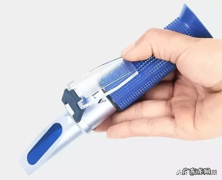 鲜芋仙热量最低搭配 鲜芋仙芋圆热量表