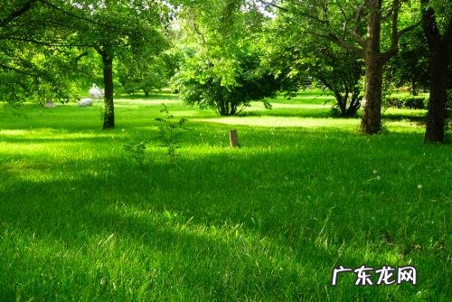 电子邮件营销怎么做?营销技巧有哪些?