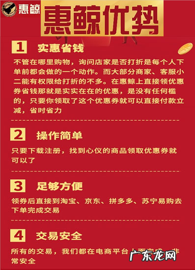 惠鲸是什么?怎么样?