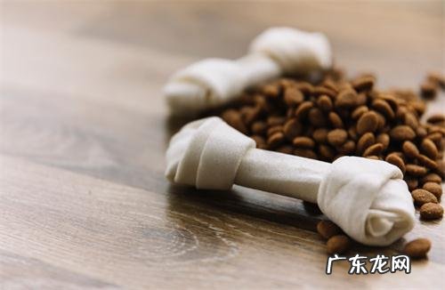 小狗一只眼睛流黄脓一样眼屎多