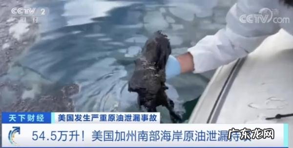 美国加州大量原油泄漏瞒报24小时,大量游客生命安全遭威胁!